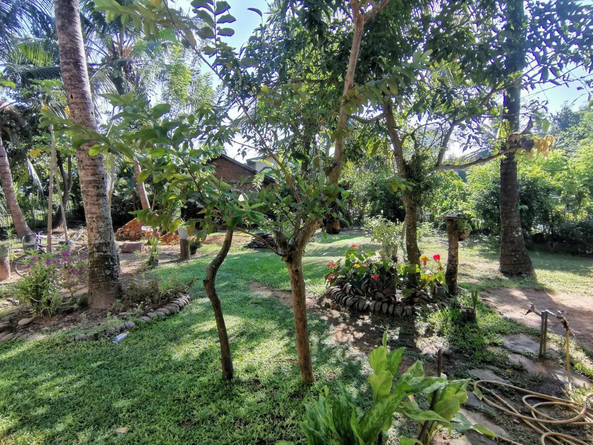 Mango Shade Weligama Appartement Buitenkant foto