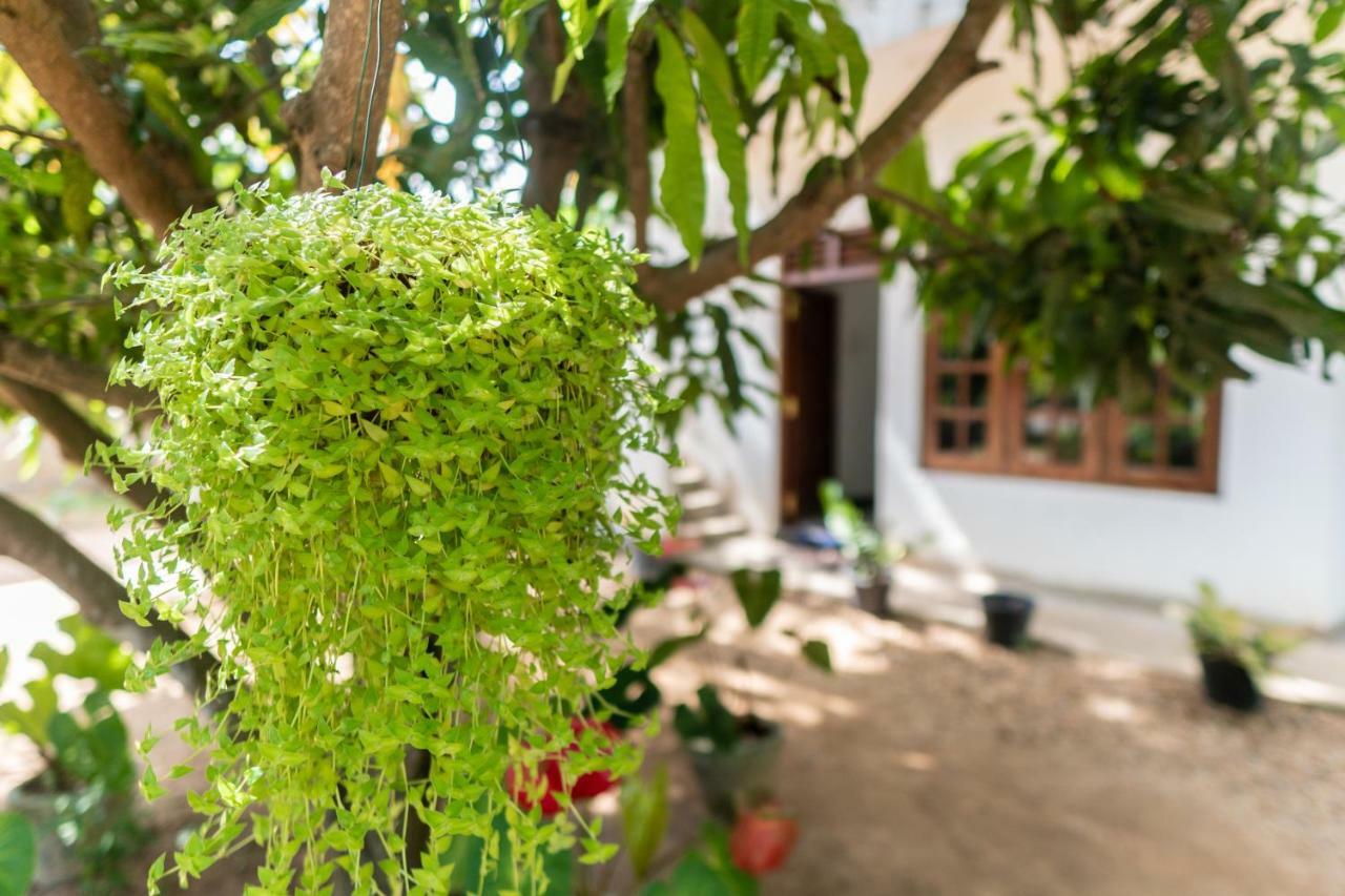 Mango Shade Weligama Appartement Buitenkant foto